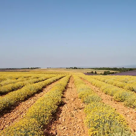 La Provencale Valensole