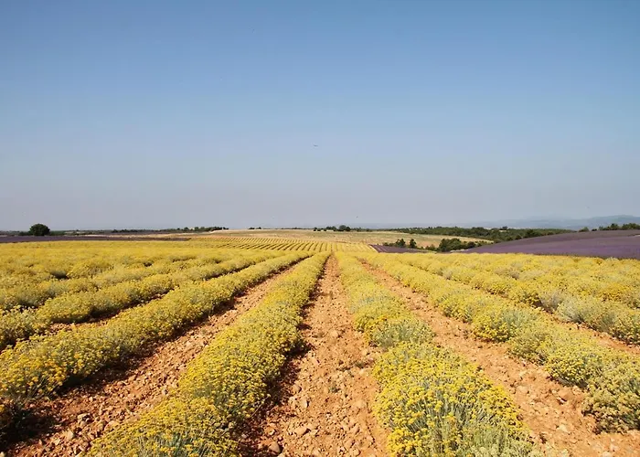 La Provençale Valensole